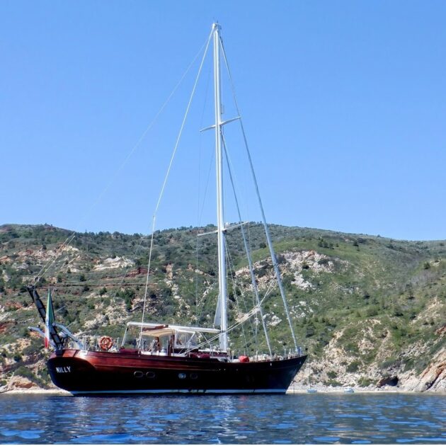 Gite giornaliere in barca a vela all'Isola d'Elba